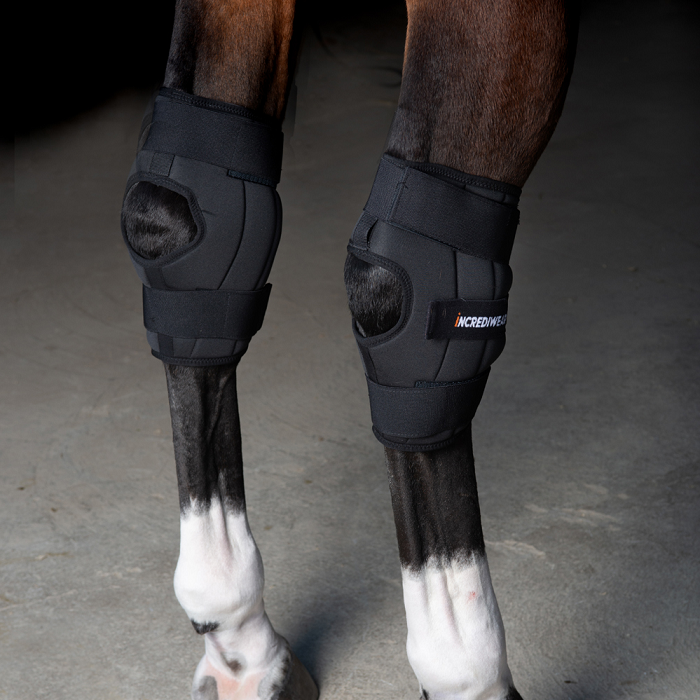 Incrediwear Circulation Hock Boot Equi Products