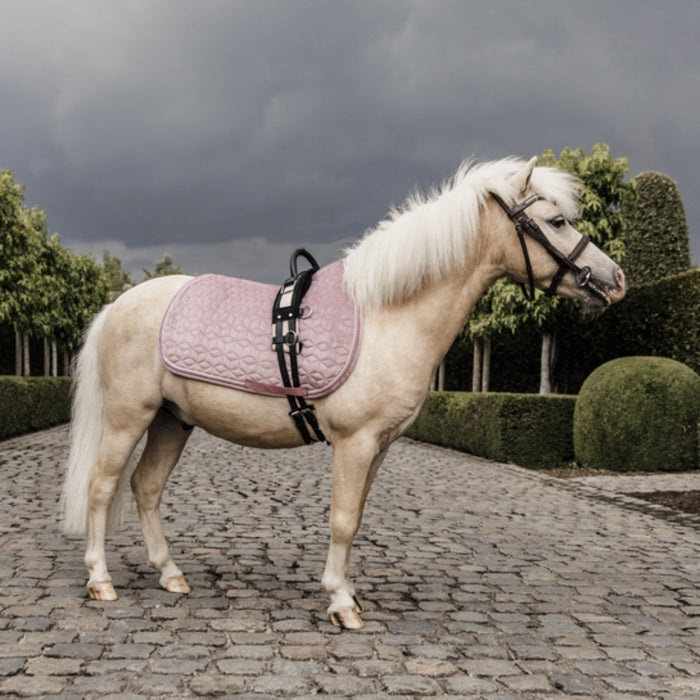 Kentucky Horsewear Pony Velvet Saddle Pad
