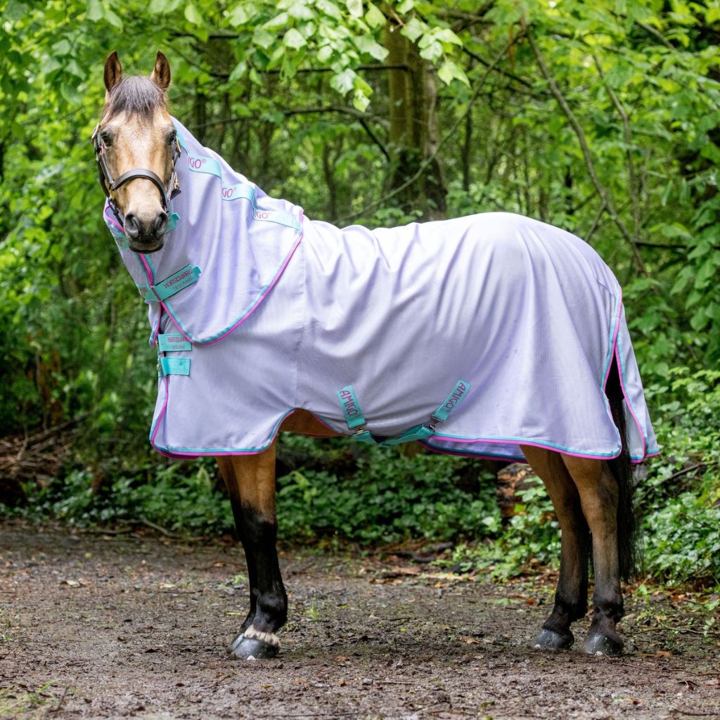 Amigo Bug Rug Pony by Horseware Ireland — Equi Products