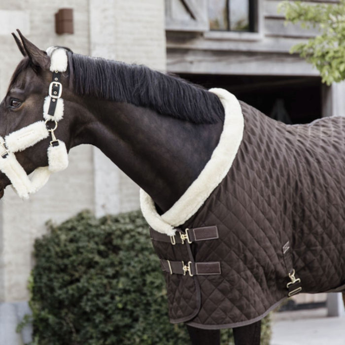 Kentucky Horsewear Show Rug 160g