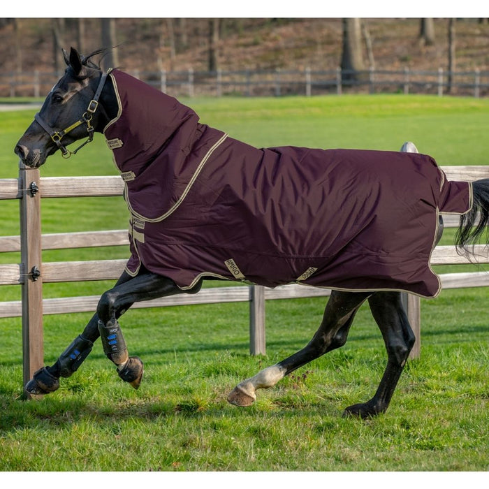 Amigo Hero Plus 600D Ripstop 100g Rug by Horseware Ireland