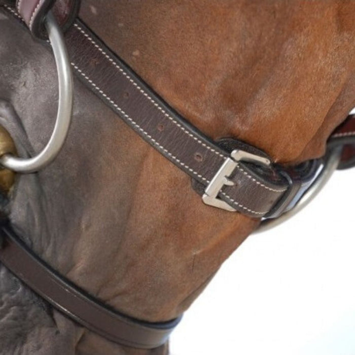 Dyon Classic Bridle with Flash Working Collection noseband buckle