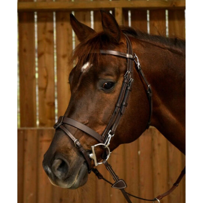Dyon Working Collection Flat Leather Bridle with Snap Hooks on liver chestnut