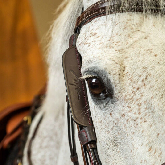 Dyon Blinker Focus Cheek Pieces on horse
