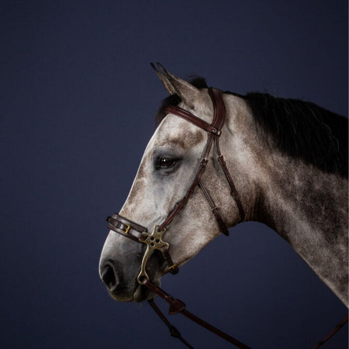 Dyon New English Collection Hackamore Cheek Pieces with bridle