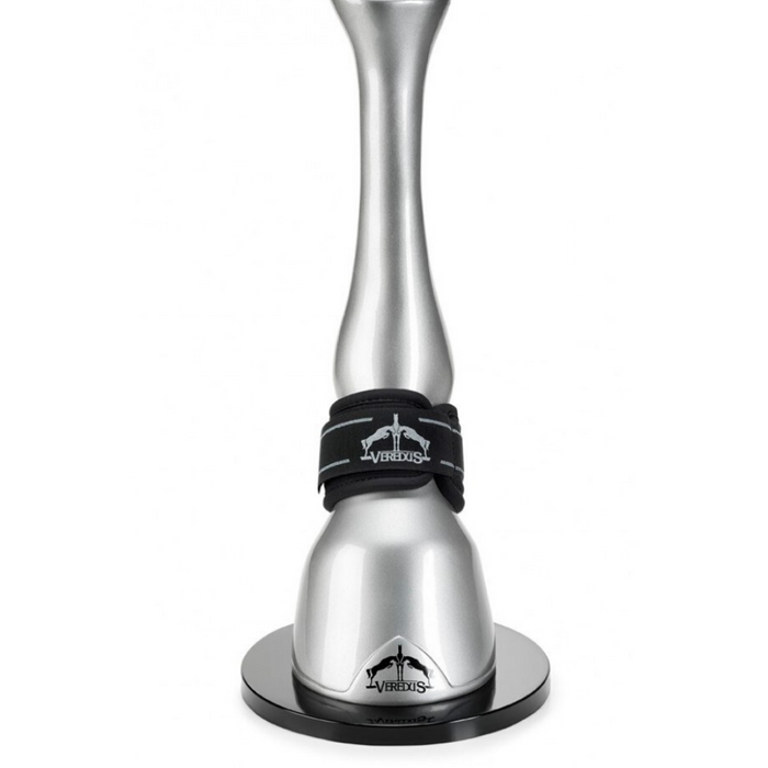 Pastern 2025 wrap horse