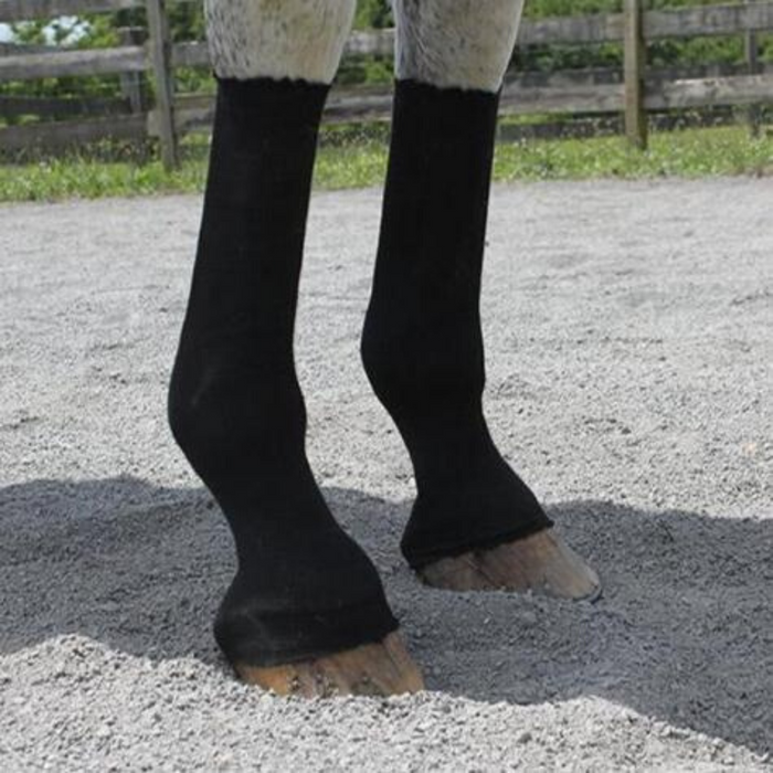 EquiFit HorseSox Compression Socks 10 Yard on horse