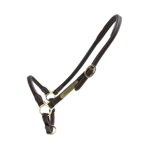 Kentucky Horsewear Synthetic Leather Grooming Halter