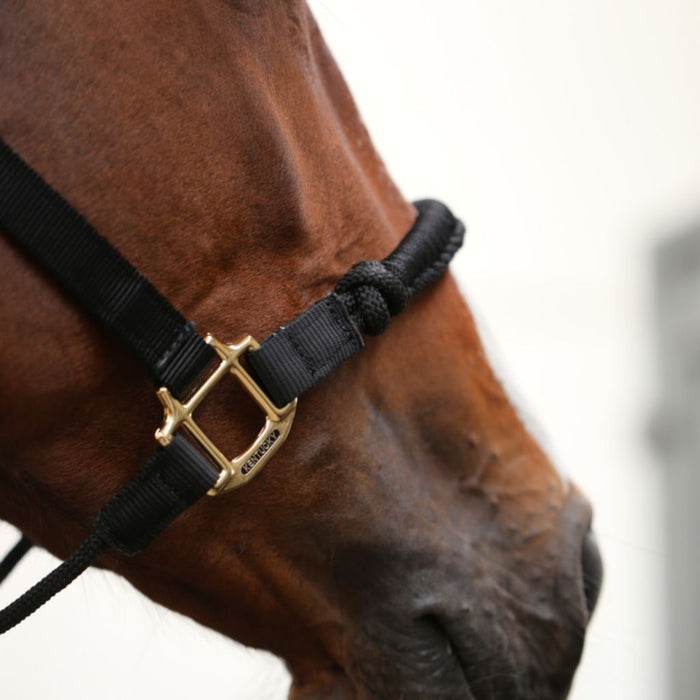 Kentucky Horsewear Nylon Control Halter noseband