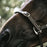 Kentucky Horsewear Synthetic Flexible Halter noseband