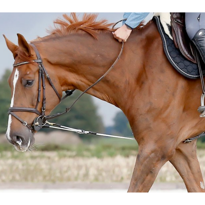 Rein Rite ReinRite Horse Training Aid — Equi Products