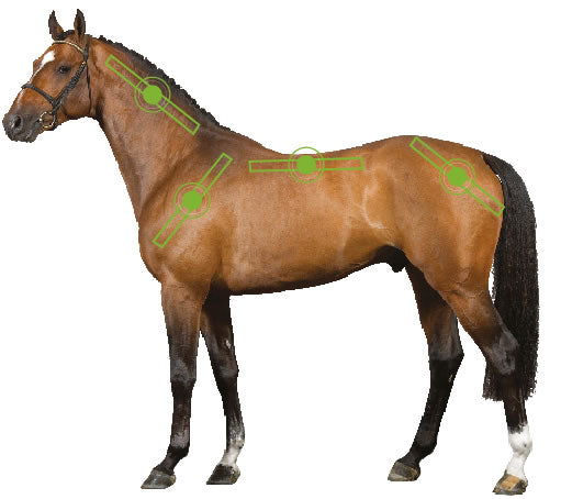 Sportz-Vibe Horse Blanket by Horseware Ireland