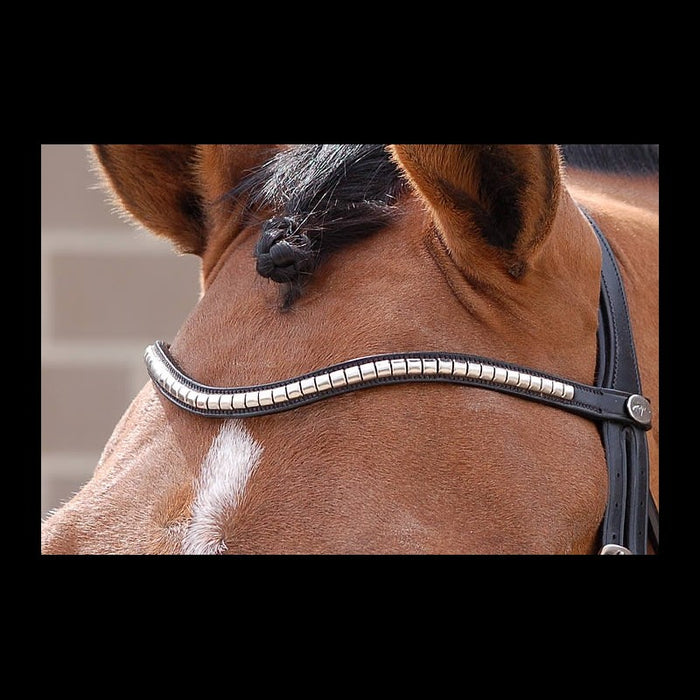 Dyon New English Stainless Steel "V" Clincher Browband
