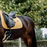 Kentucky Horsewear Velvet Dressage Pad