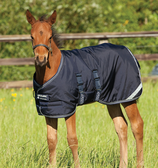Object Rug Foal Amigo Foal Rug 200g Ripstop Size 42